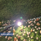 7W Spike Light outdoor