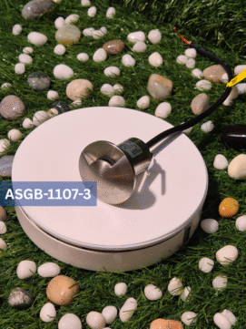 Ground Light - 2way