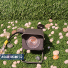 AriGlow beam light for outdoor